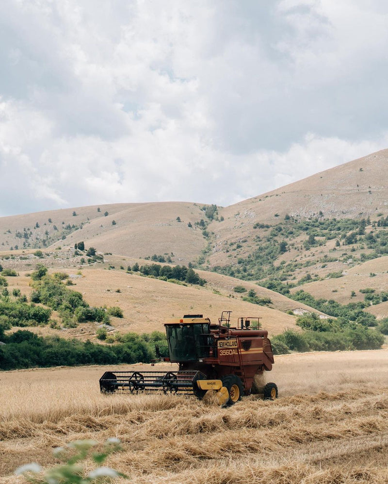 Rustichella d'Abruzzo