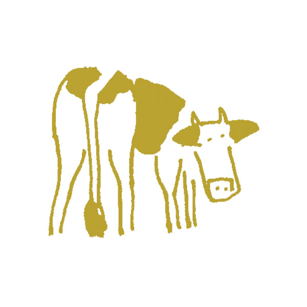Gold line illustration of two cows