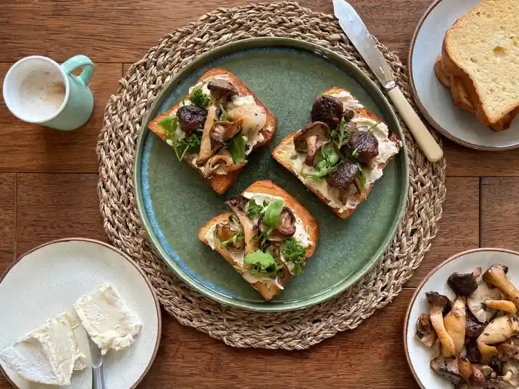 Mushroom toasts with Délice de Bourgogne on a green plate