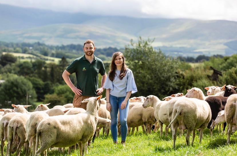 Two people standing among a flock of sheep in a pastoral setting with rolling hills.