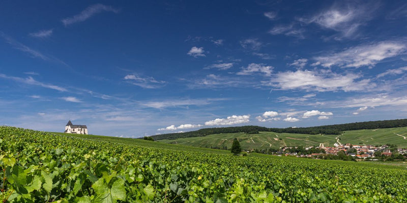 Champagne Laherte Frères