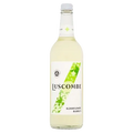 Bottle of Luscombe elderflower bubbly on a white background