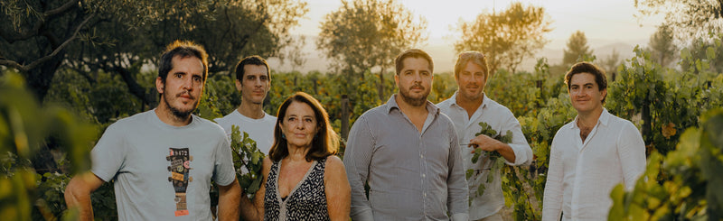 Mas de Daumas Gassac