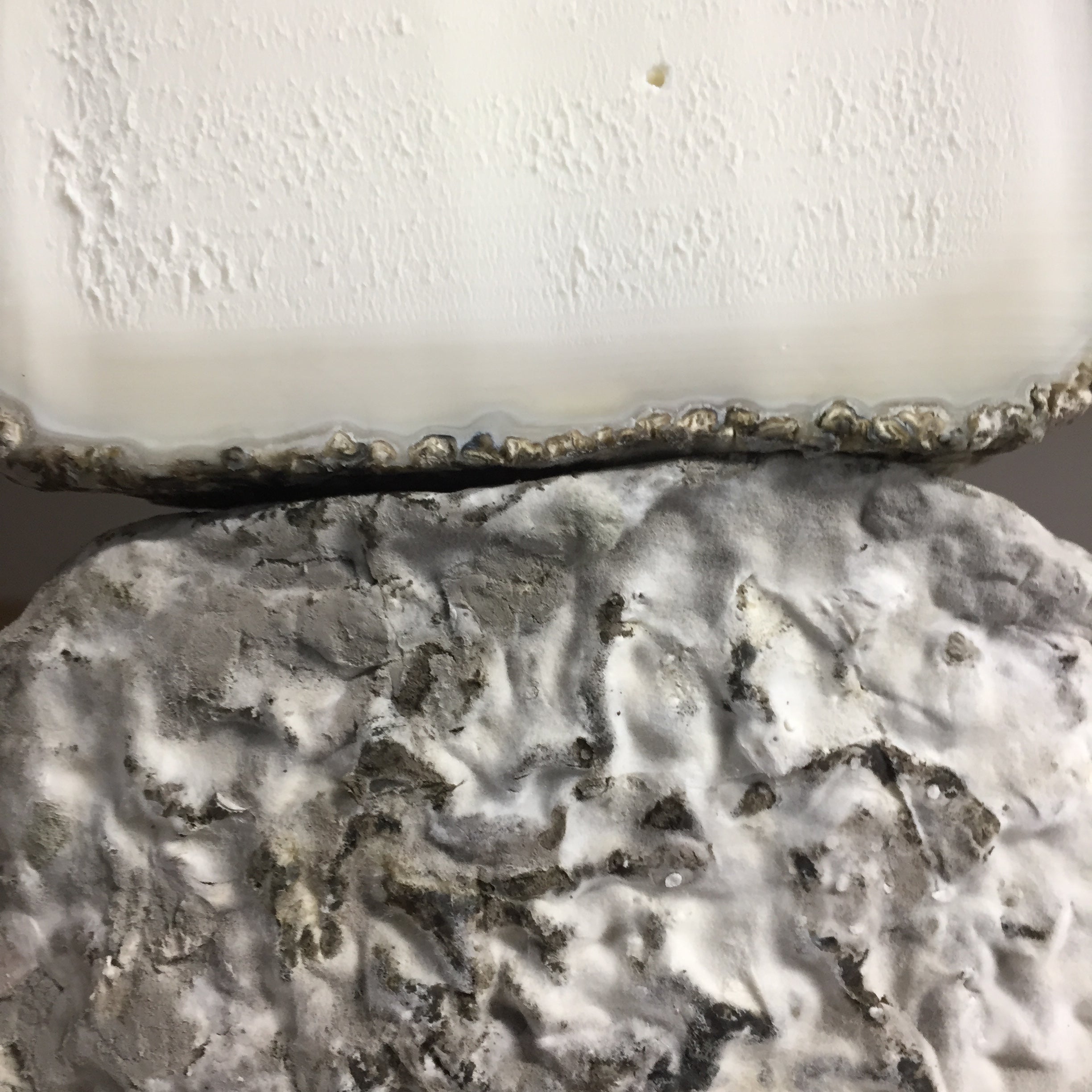 Close-up of a textured stone surface with a white background