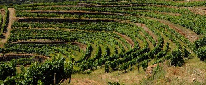 Quinta do Estanho