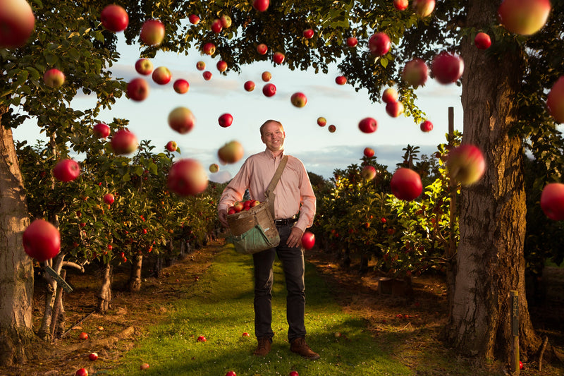 The Apple Farm of Tipperary