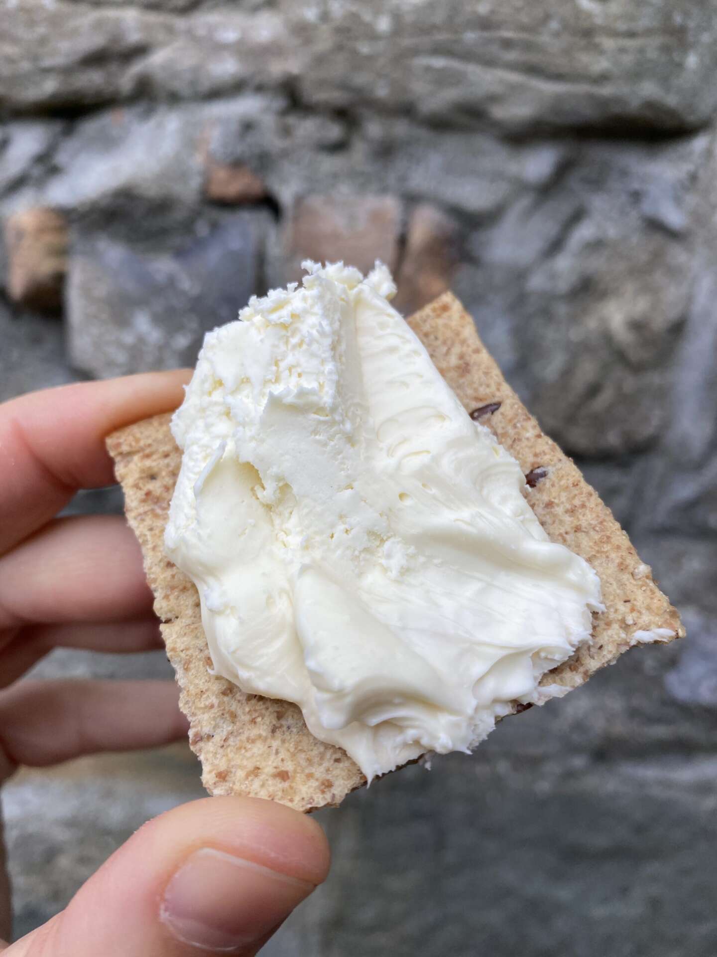 Cracker with cream cheese held in front of a stone wall