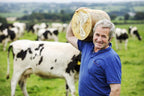 Man carrying a large wheel of cheese in a field with cows