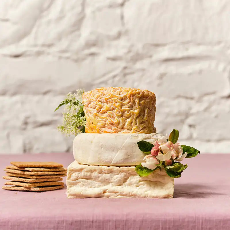 Three types of cheese stacked with crackers and flowers on a textured surface